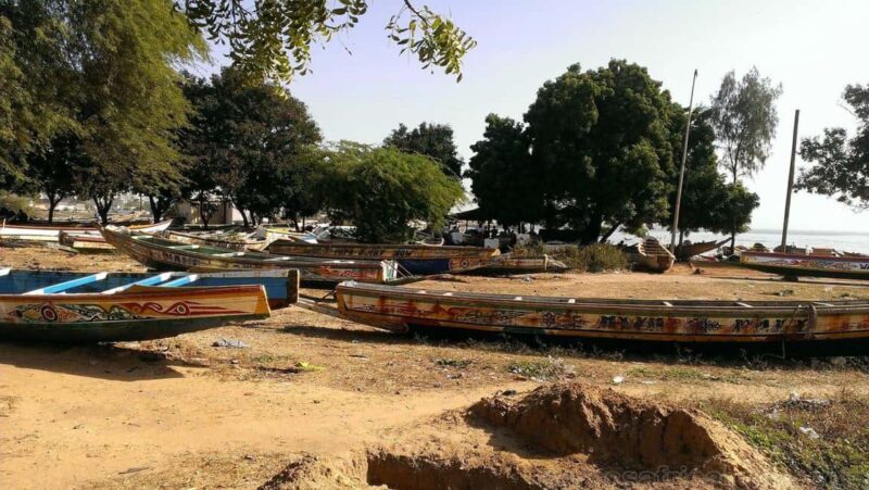 Senegal Discovery: Dakar, Goree Island & St Louis Tour - Exploring Dakar and Goree Island
