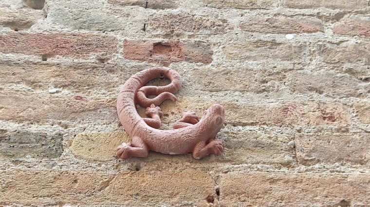 senigallia-private-tour-where-history-meets-culture