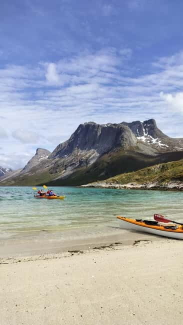 Senja: Fjord Kayaking in Ånderdalen National Park - Who Should Consider This Tour?