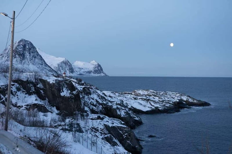 Senja: Full-Day Guided Tour with Husøy and Ersfjord - An In-Depth Look at the Tour Experience