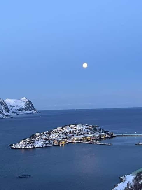 Senja: Full-Day Guided Tour with Husøy and Ersfjord - Who Should Consider This Tour?