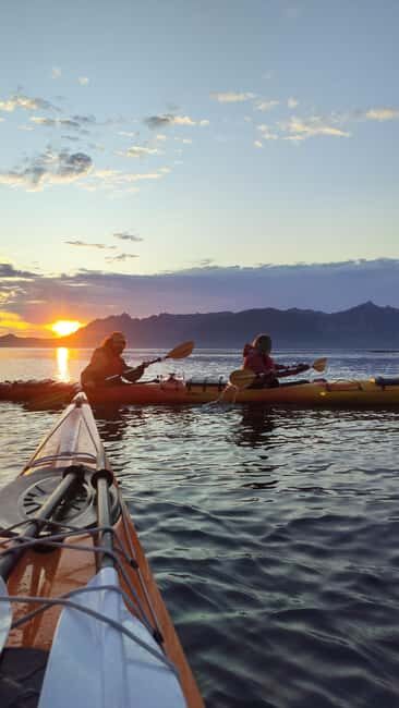 Senja: Guidet Evening Kayak Cruise - Key Points