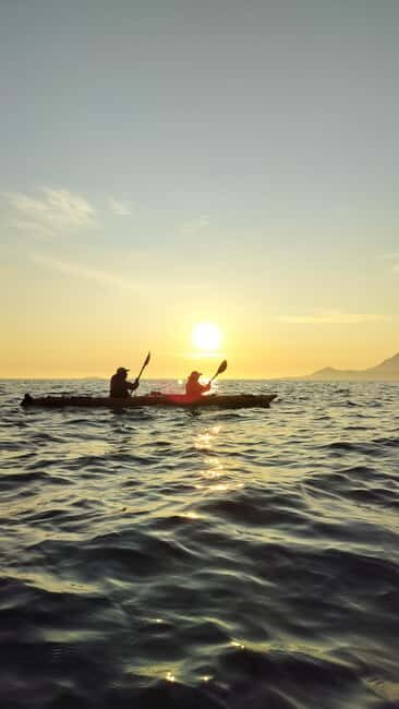 Senja: Guidet Evening Kayak Cruise - An In-Depth Look at the Senja Kayak Experience