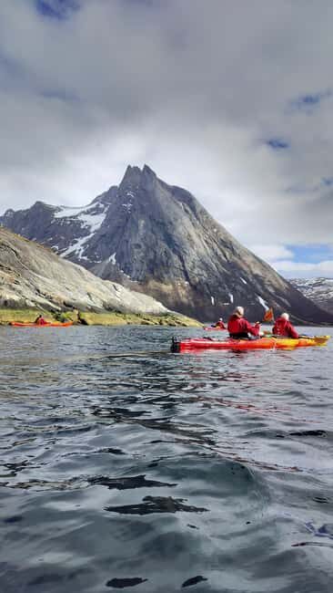 Senja: Guidet Fjord Kayaking in Ånderdalen Nationalpark - Discovering Senja by Kayak: A Complete Experience