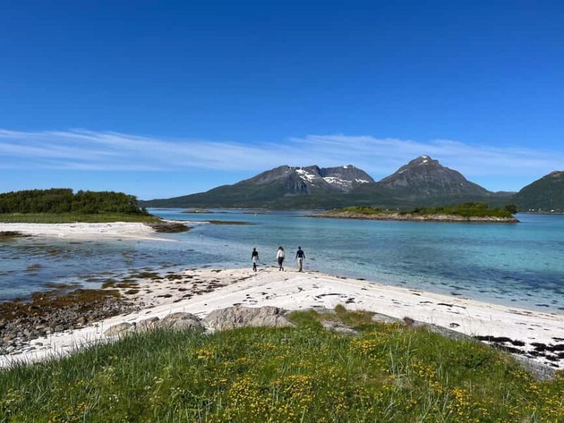 Senja: Guidet Fjord Kayaking in Ånderdalen Nationalpark - Detailed Itinerary Breakdown
