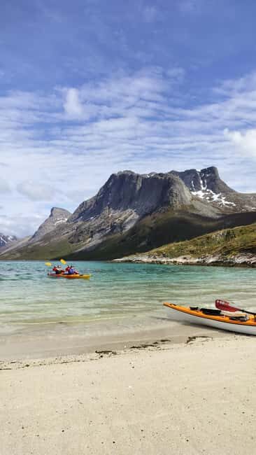 Senja: Guidet Fjord Kayaking in Ånderdalen Nationalpark - Who Would Love This Experience?