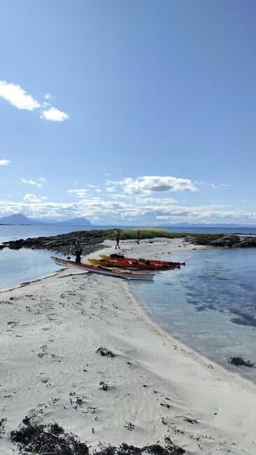 Senja: Guidet Fjord Kayaking in Ånderdalen Nationalpark - Final Thoughts