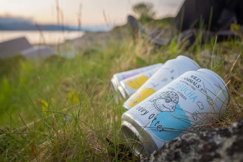 Senja: Midnight Sun Kayaking in Ånderdalen National Park - Key Points