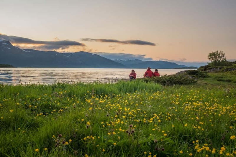 Senja: Midnight Sun Kayaking in Ånderdalen National Park - What Is the Senja Midnight Sun Kayaking Tour?