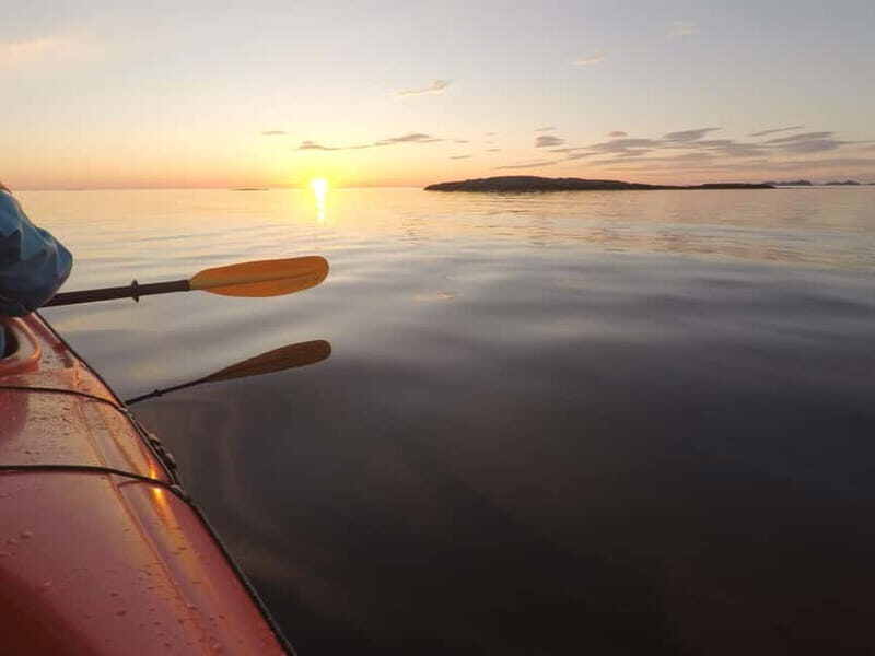 Senja: Midnight Sun Kayaking in Ånderdalen National Park - Who Would Love This Tour?