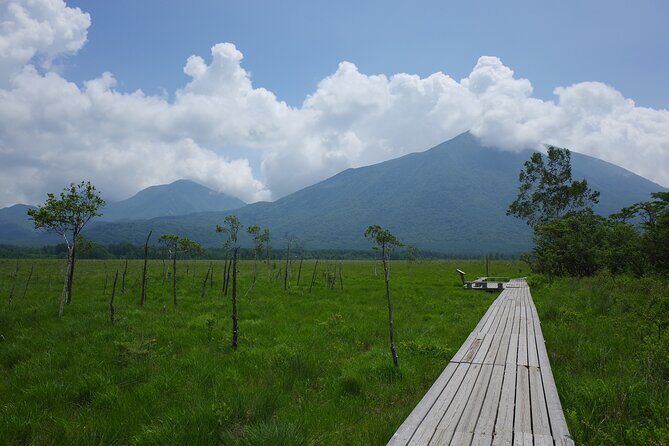 Senjogahara Nature Guide Tour in Nikko - Exploring Senjogahara with the Nature Guide Tour in Nikko