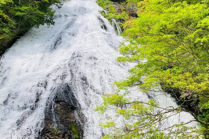 Senjogahara Nature Guide Tour in Nikko - The Details of the Senjogahara Nature Guide Tour