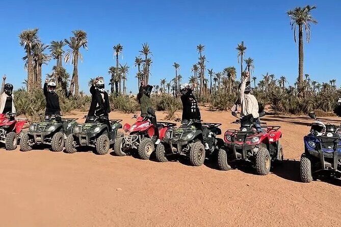 Sensational quad and camel ride in the palm grove - Camel Ride and Desert Landscapes