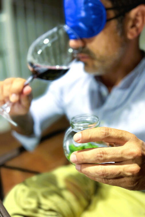 sensory-tasting-discover-wine-with-the-5-senses