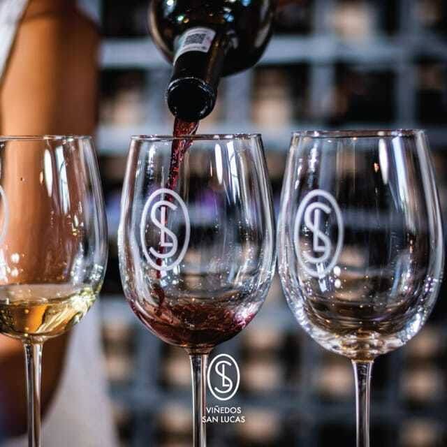 sensory-wine-tasting-experience-at-san-lucas-vineyard