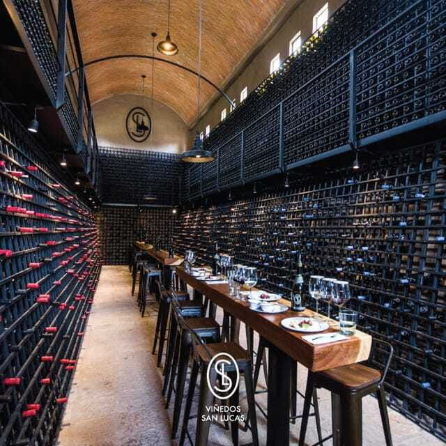 sensory-wine-tasting-experience-at-san-lucas-vineyard