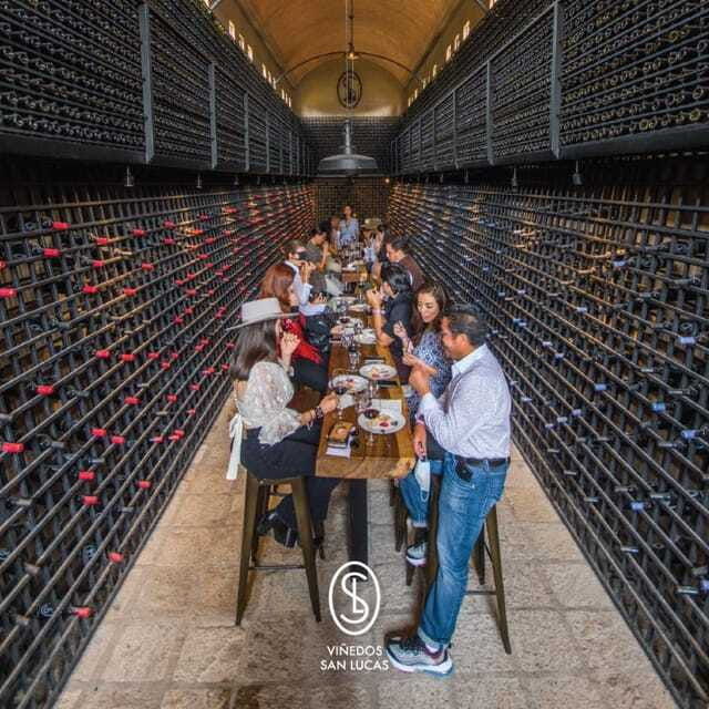 sensory-wine-tasting-experience-at-san-lucas-vineyard