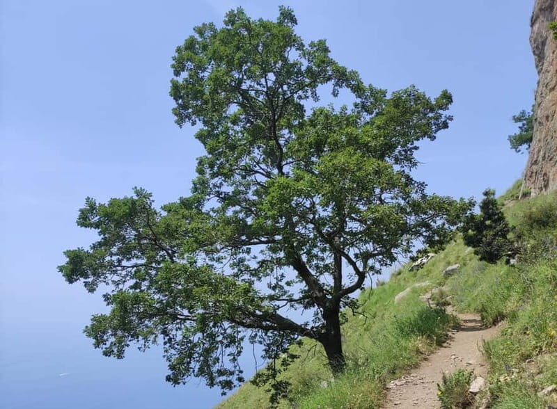 Sentiero degli Dei: Guided trekking on the Amalfi Coast - The Itinerary in Detail