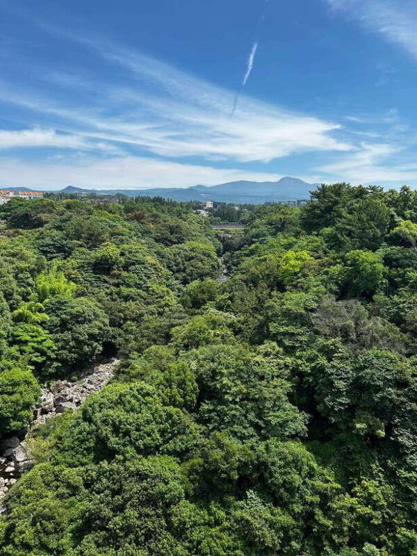 seogwipo-jungmun-area-walking-tour