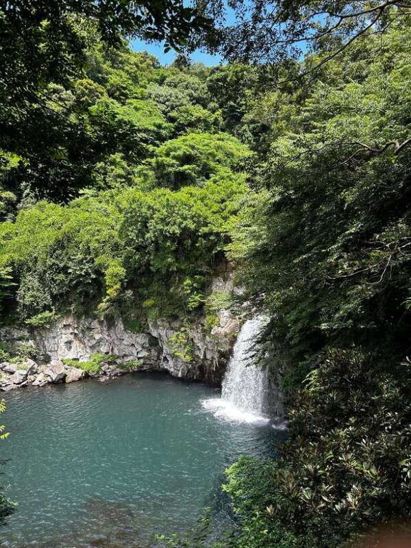 seogwipo-jungmun-area-walking-tour