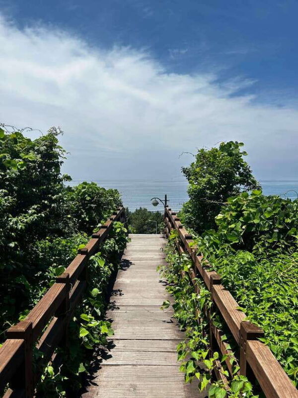 seogwipo-jungmun-area-walking-tour