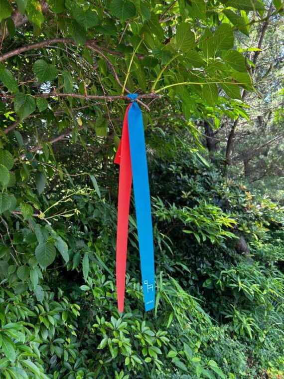 seogwipo-jungmun-area-walking-tour