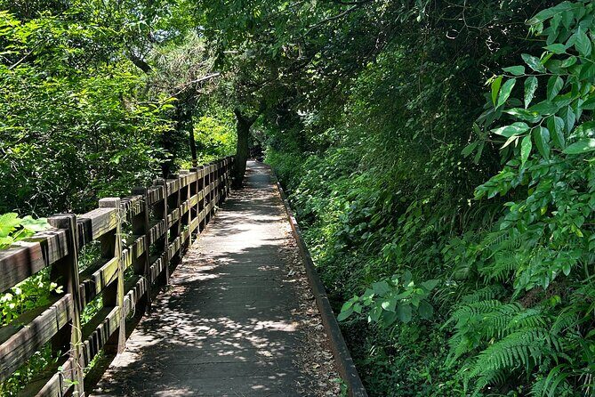 Seogwipo (The Southern City of Jeju) Jungmun Area Walking Tour - The Sum Up