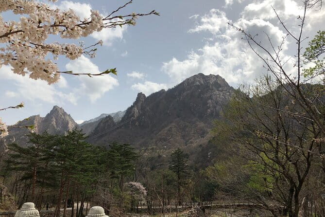 Seoraksan and Cherry Blossom Lake 1 day trip from Seoul - Starting in Seoul