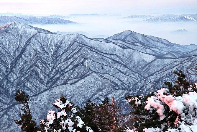 Seoraksan, Eobi Ice Valley & Nami Island Winter Tour from Seoul - Exploring Korea’s Winter Wonderland: Seoraksan, Nami Island & Eobi Ice Valley from Seoul