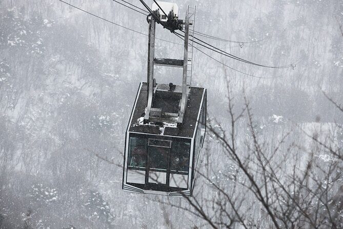 Seoraksan, Eobi Ice Valley & Nami Island Winter Tour from Seoul - Return to Seoul: Reflecting on a Full Day