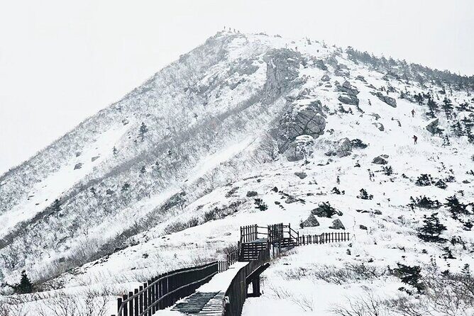 Seoraksan, Eobi Ice Valley & Nami Island Winter Tour from Seoul - Final Thoughts: Who Will Love This Tour?