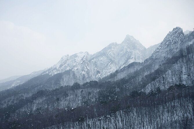 Seoraksan, Eobi Ice Valley & Nami Island Winter Tour from Seoul - FAQ