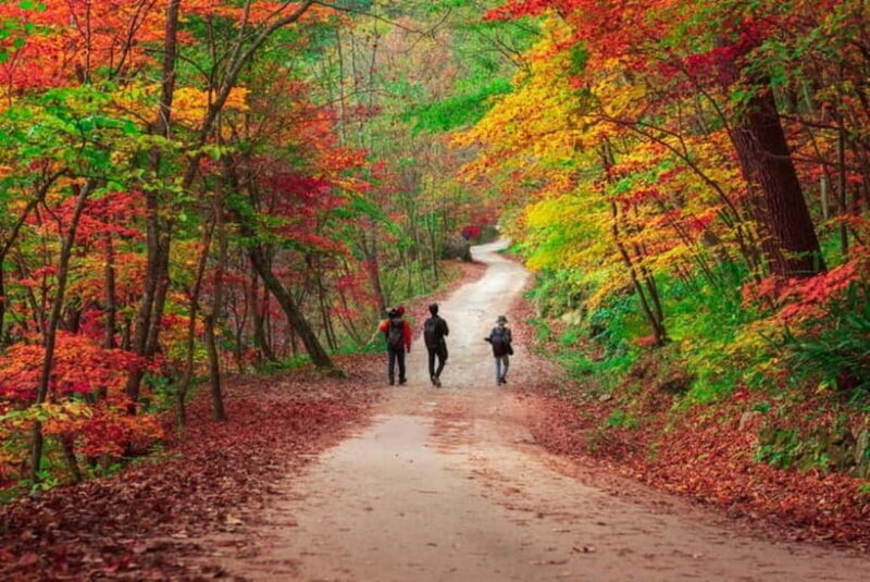 Seoraksan & Naksan Temple Autumn Day Trip from Seoul - Who Is This Tour Best For?