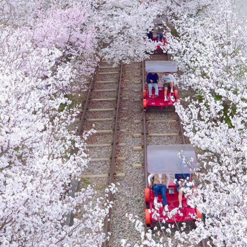 seoraksan-nami-rail-bike-morning-calm