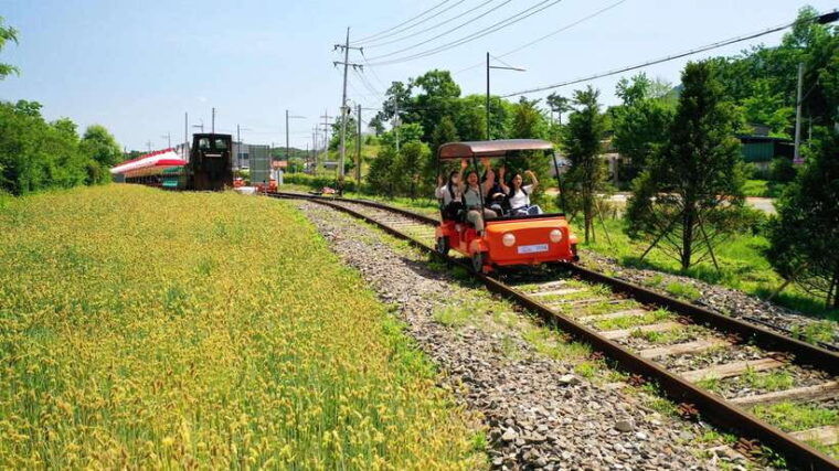 seoraksan-nami-rail-bike-morning-calm