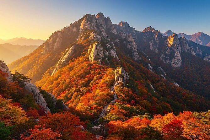 Seoraksan National Park and Goseong DMZ Observatory from sokcho - Key Points