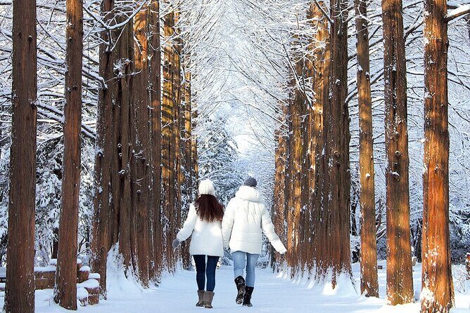 Seoraksan National Park & Nami Island - The Itinerary Breakdown