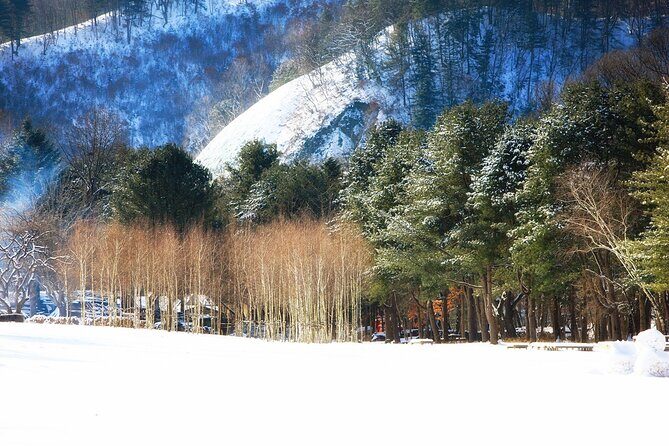 Seoraksan National Park & Nami Island - The Sum Up