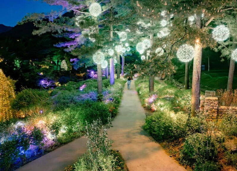 Seoul: Alpaca World and Nami Island (with Garden / Railbike) - Key Points