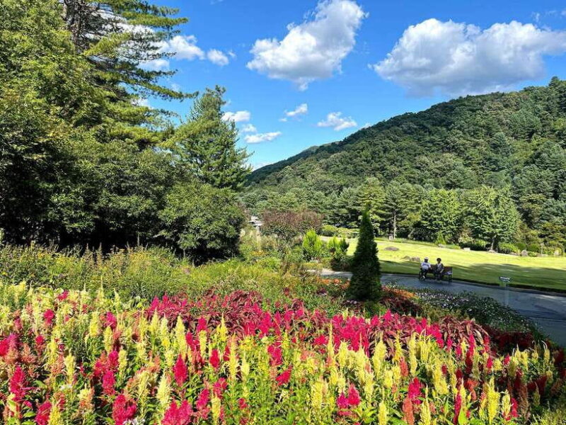 Seoul: Alpaca World and Nami Island (with Garden / Railbike) - Final Thoughts: Who Is This Tour For?