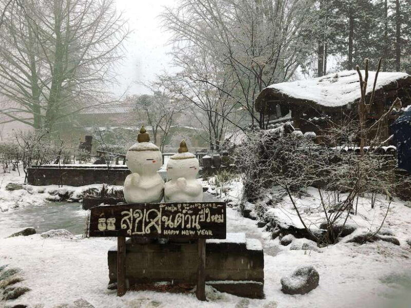 seoul-alpaca-world-nami-eobi-and-strawberry-picking-tour