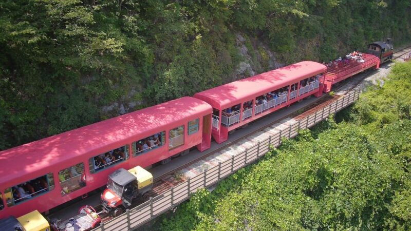seoul-alpaca-world-nami-island-gangchon-railbike