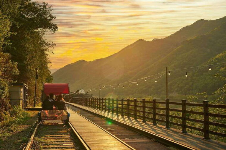 seoul-alpaca-world-nami-island-gangchon-railbike
