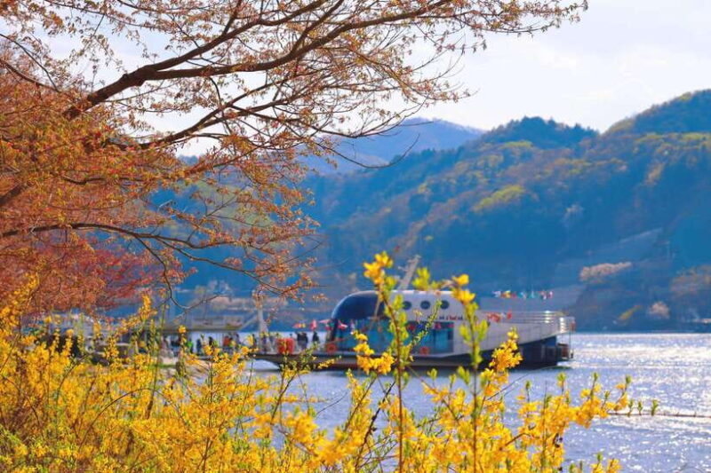 Seoul: Alpaca World & Nami Island (opt. Gangchon Railbike) - Key Points