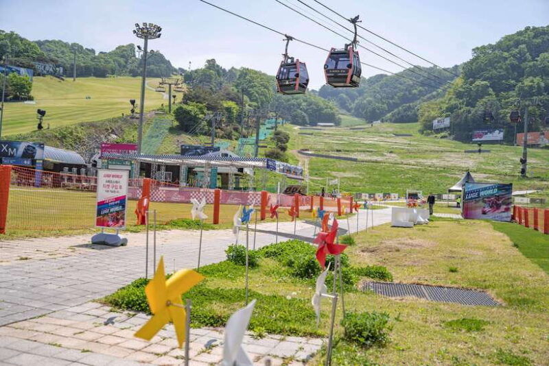 seoul-alpaca-world-railbike-vivaldi-park-experience-tour