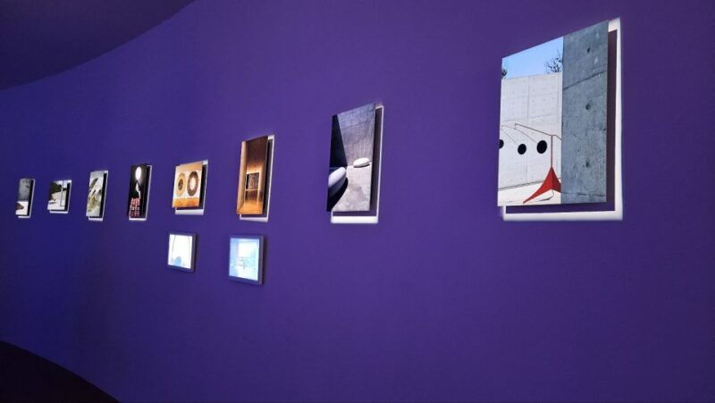 seoul-alpaca-world-railbike-vivaldi-park-experience-tour