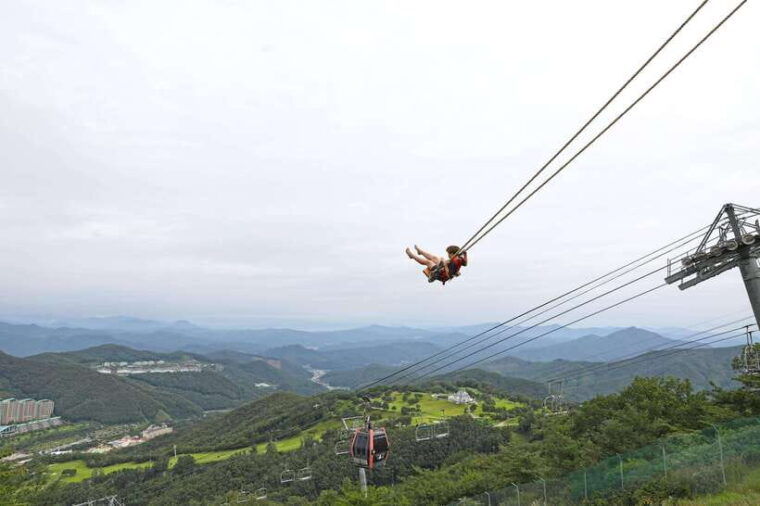 seoul-alpaca-world-railbike-vivaldi-park-experience-tour