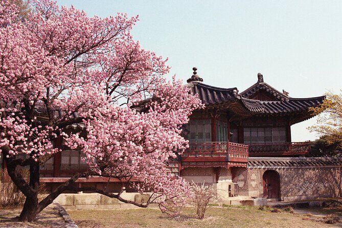 Seoul Analog Tour - Gyeongbokgung Palace: A Glimpse of Korea’s Royal Past