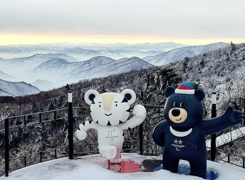 Seoul: Balwangsan Cable Car & Samyang Ranch One Day Tour - The Itinerary Breakdown