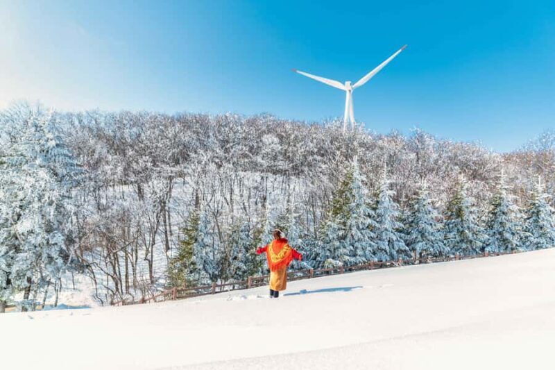 Seoul: Balwangsan Cable Car & Samyang Ranch One Day Tour - The Practical Side: Transport, Timing, and Value